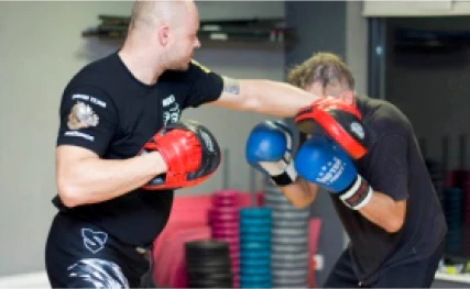 przykładowy
trening krav-maga